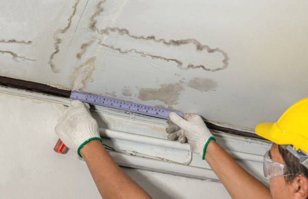 Reliable Water Damage contractor in Strasburg, MO by Water Damage Irwin